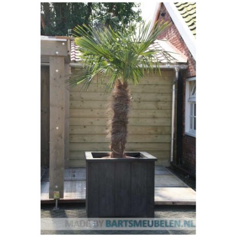 bloembak 1 bloembak 1