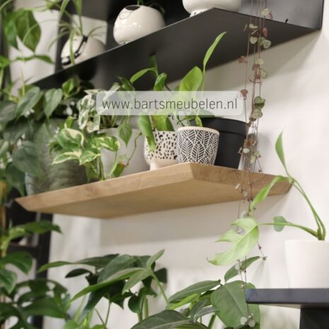 afbeelding wandplank eiken verjongd 25