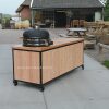 stalen bbq tafel douglas achterzijde