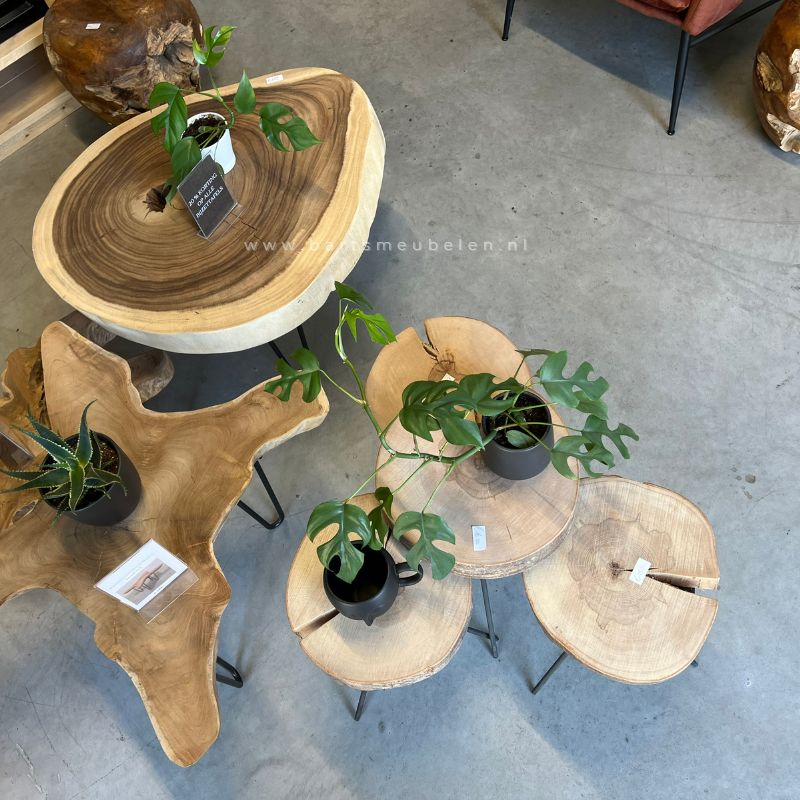 Plantenzuil_houten_bijzettafels_met_plantejes_px_800x800