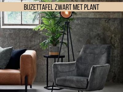 bijzettafel-zwart-met-plant