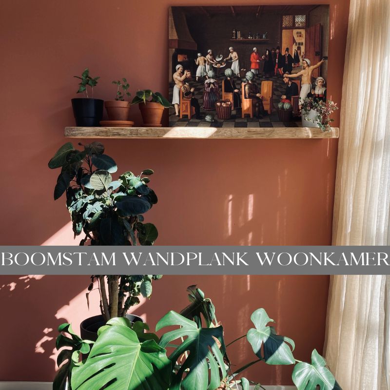 boomstam wandplank woonkamer boomstam wandplank woonkamer