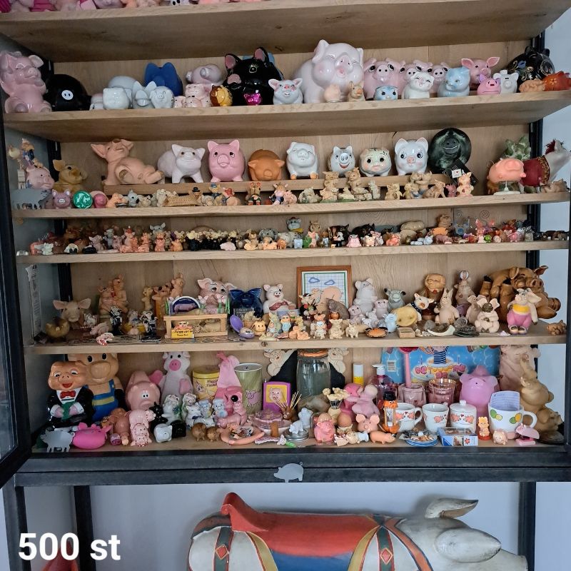 500 varkentjes in de industriele kast met glazen deuren 500 varkentjes in de industriele kast met glazen deuren