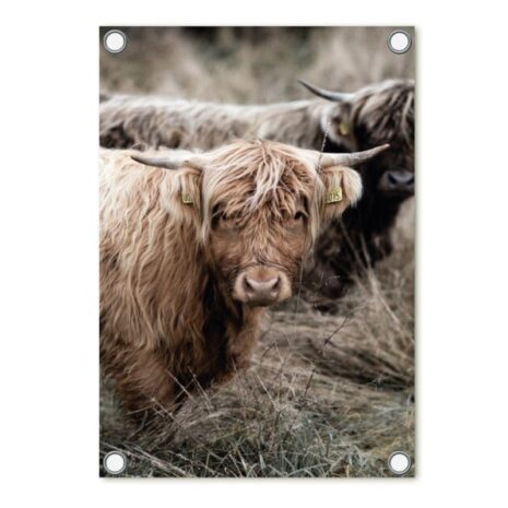 Tuinposter foto met schotse hooglander 60x80cm - Zoedt