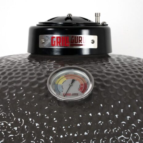 thermometer grill guru medium