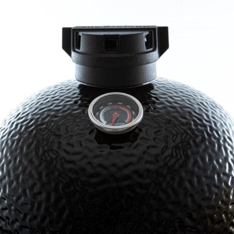 thermometer the bastard medium solo