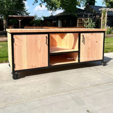 Moderne industrieel buitenkeuken douglas