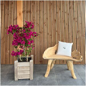 1 zits tuinbank natuurlijke vormen