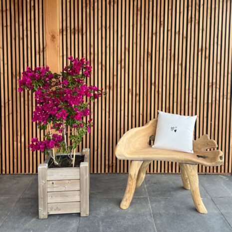 1 zits tuinbank natuurlijke vormen 1 zits tuinbank natuurlijke vormen