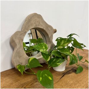 Boomstam spiegel Small