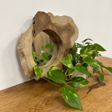 Boomstam teakhout spiegel medium