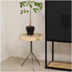 Bijzettafel boomstam met koperen pootjes