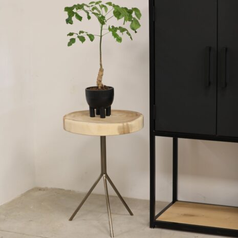 bijzet tafeltje boomstam met koperen pootjes bartsmeubelen